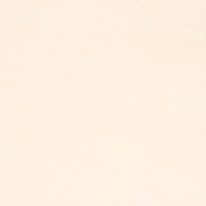 Пергамент флористический Пергамент флористический "Бежевый" 0,6 х 10 м, 52 г/м2