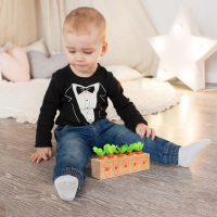 Развивающий набор «Посади разные морковки» 20 × 5,5 × 5 см Развивающий набор «Посади разные морковки» 20 × 5,5 × 5 см