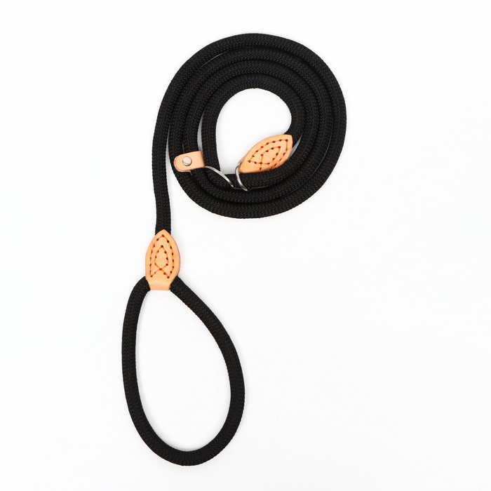 Поводок-удавка 150 х 1 см, полиэстер и натуральная кожа, чёрный