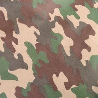 Бумага упаковочная крафт "Камуфляж Лес", 70 г/м&sup2; ,0,7 х 10 м