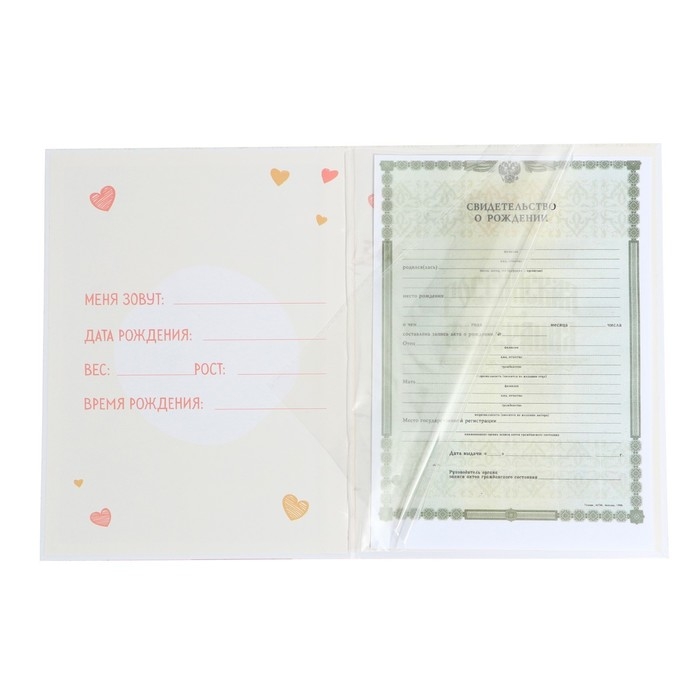 Папка для свидетельства о рождении &laquo;Медвежонок&raquo;, 23,5 х 31,5 см.
