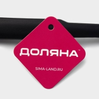 Ложка гарнирная Доляна &laquo;Орихалк&raquo;, 30 см, цвет чёрный