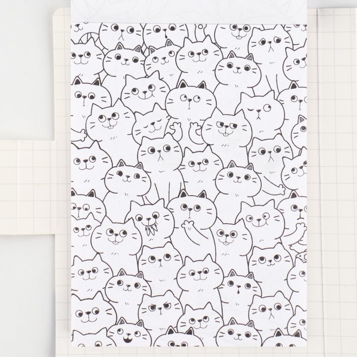 Подарочный набор в открытке: отрывной блок с заданиями и карандаши «Енот» Подарочный набор в открытке: отрывной блок с заданиями и карандаши «Енот»