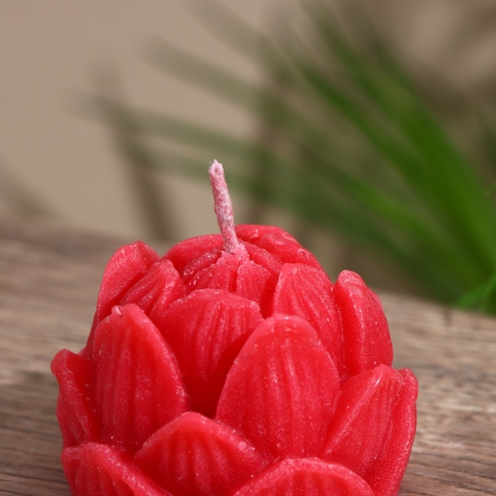 Свеча "Лотос" 5х5х6 см, соевый воск