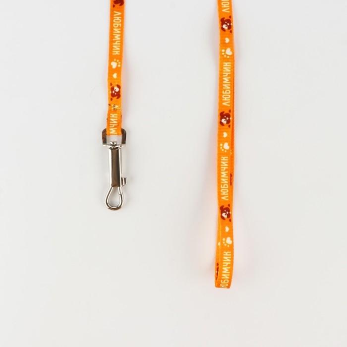 Комплект &laquo;Любимчик&raquo;, шлейка 24-34 см, поводок 120х1 см