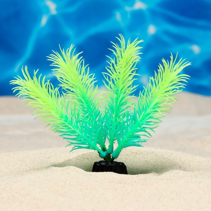 Растение искусственное аквариумное, светящееся, 10 см, зелёное Растение искусственное аквариумное, светящееся, 10 см, зелёное