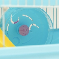 Клетка для грызунов "Пижон" с замком, 31 х 24 х 27 см, голубая Клетка для грызунов "Пижон" с замком, 31 х 24 х 27 см, голубая