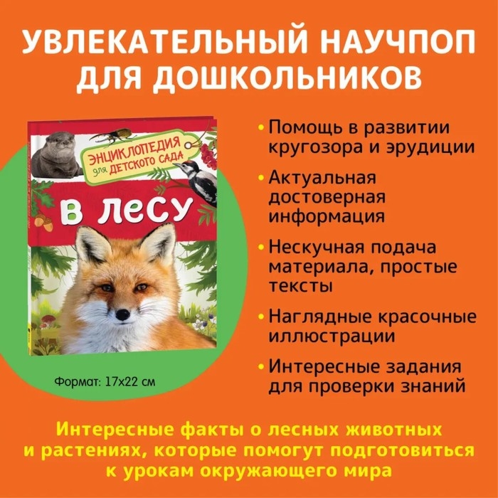 Энциклопедия для детского сада &laquo;В лесу&raquo;