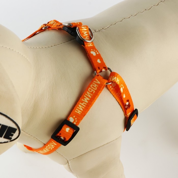 Комплект &laquo;Любимчик&raquo;, шлейка 24-34 см, поводок 120х1 см