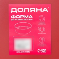 Противень Доляна &laquo;Ренард. Прямоугольник&raquo;, 31,5&times;21,5 см, антипригарное покрытие, цвет красный