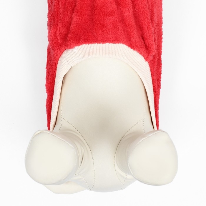 Свитер Свитер "Арбуз", велюр, размер XS (ДС 20, ОШ 21, ОГ 30 см), красный