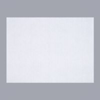 Полотенце для животных впитывающее, 60 х 80 см, 70 г/м² , одноразовое Полотенце для животных впитывающее, 60 х 80 см, 70 г/м² , одноразовое