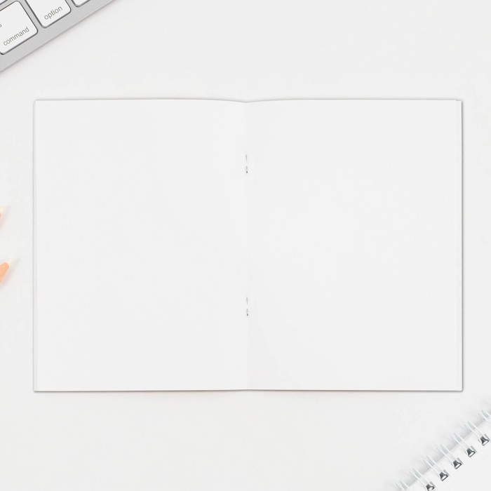 Подарочный набор на выпускной &laquo;Набор выпускника детского сада&raquo; : блокнот-раскраска, расписание уроков и восковые мелки 4 шт