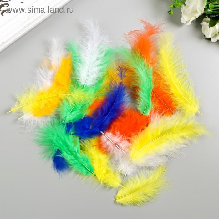 Перья декоративные страусиные, 10-12 см (набор 24 шт) 6 цветов, яркие, ассорти Перья декоративные страусиные, 10-12 см (набор 24 шт) 6 цветов, яркие, ассорти