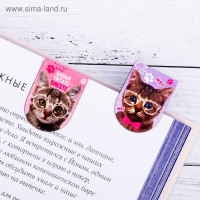 Закладки магнитные для книг, 6 шт «Котики» Закладки магнитные для книг, 6 шт «Котики»