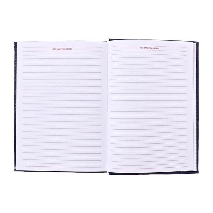 Ежедневник недатированный А5, 160 листов "Небраска", обложка искусственная кожа, перфорация углов, синий