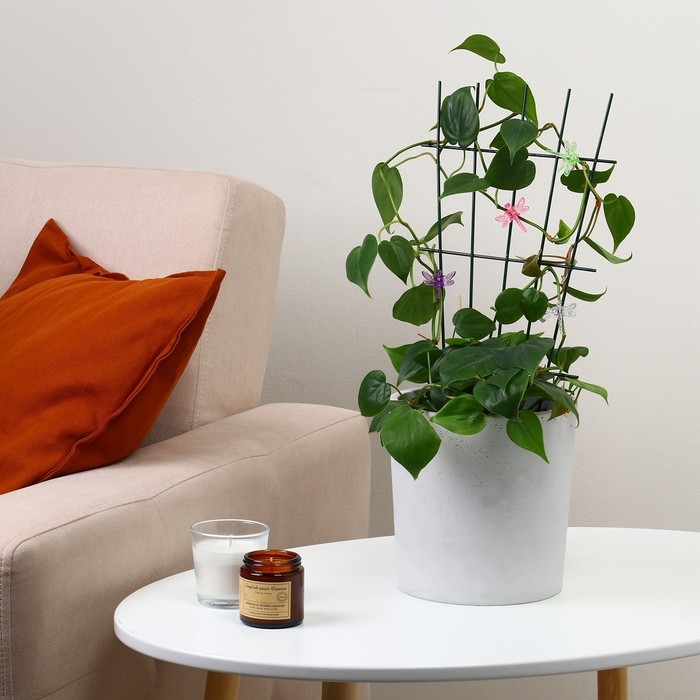 Шпалера, 40 &times; 20 &times; 0.3 см, металл, зелёная, &laquo;Веерная&raquo;