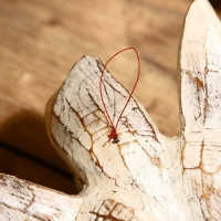 Сувенир "Черепаха" албезия 30х20х6 см