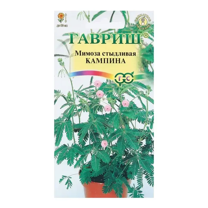 Семена комнатных цветов Мимоза "Кампина", ц/п,  0,1 г