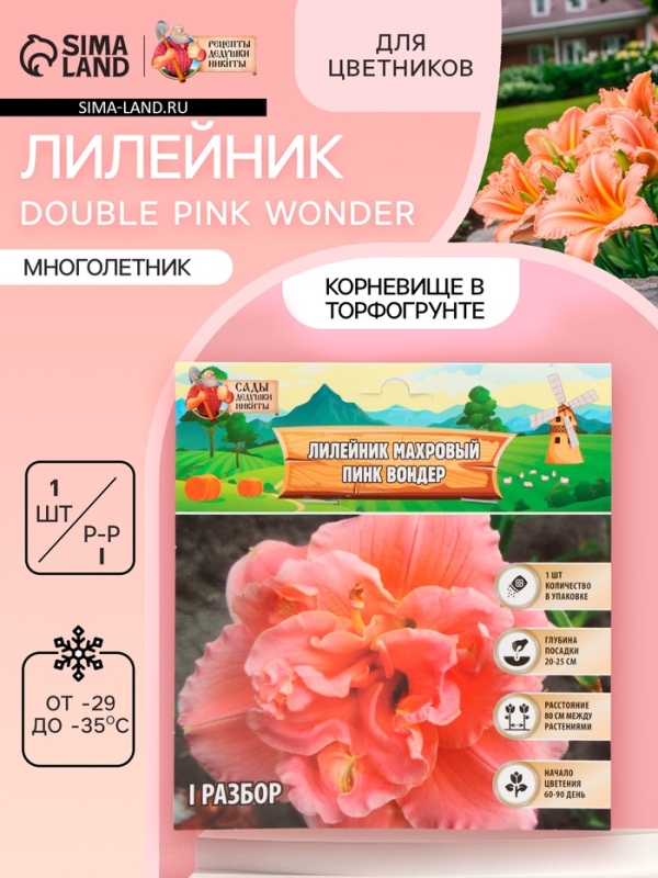 Лилейник Double Pink Wonder, многолетник, корневище в пакете с торфогрунтом, р-р I, 1 шт.