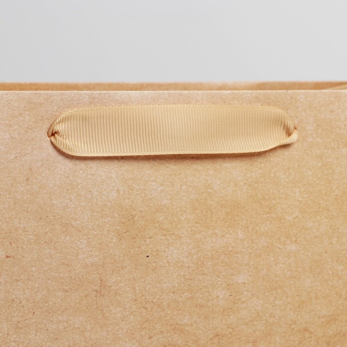 Пакет подарочный ламинированный, упаковка, &laquo;Крафтовый&raquo;, MS 18 х 23 х 10 см