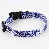 Ошейник &laquo;В гармонии с природой&raquo;, застёжка - фастекс, 2.5 см, 40-55 см