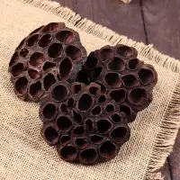 Декор сухоцвет &laquo;Лотос&raquo;, d=8-11 см, коричневый