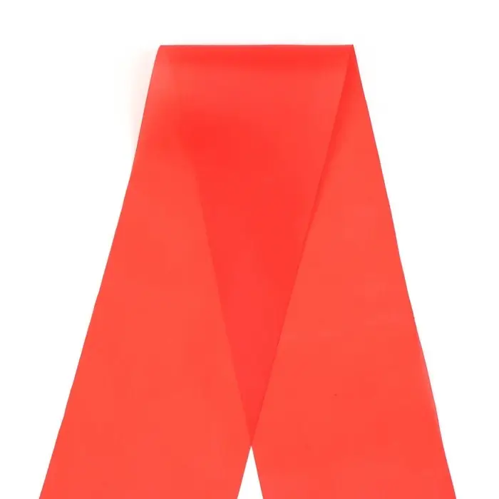 Лента на выпускной &laquo;Выпускник 9 класса&raquo;, шёлк красный фольга