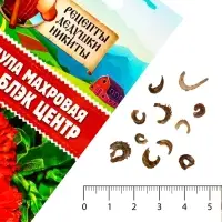 Семена цветов Календула махровая "Ред виз блэк центр", 0,3 г