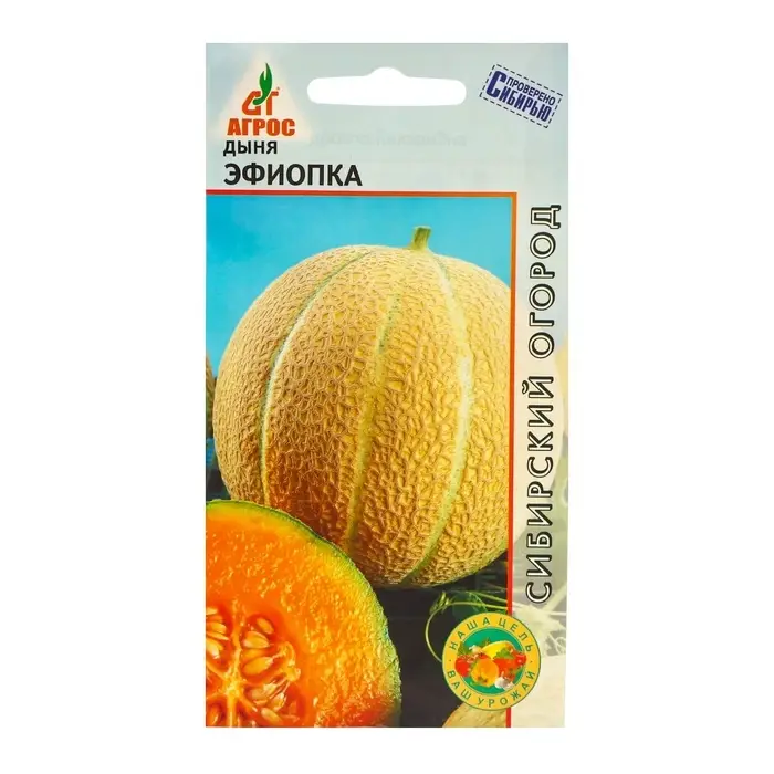 Семена Дыня &laquo;Эфиопка&raquo;, 10 шт., &laquo;Агрос&raquo;