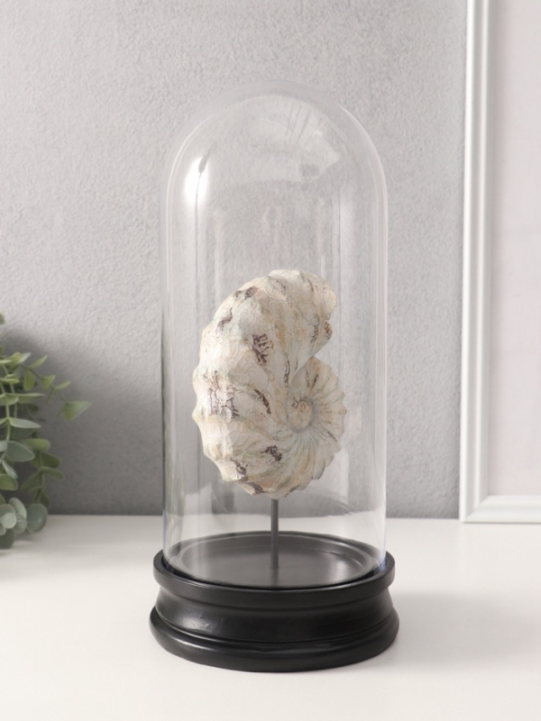 Сувенир полистоун в колбе "Ракушка плоскоспиральная" 14х14х30 см