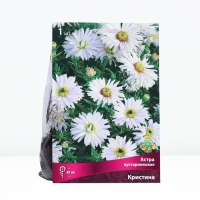 Астра кустарниковая &laquo;Кристина&raquo;, корневище в торфогрунте, р-р I, 1 шт.