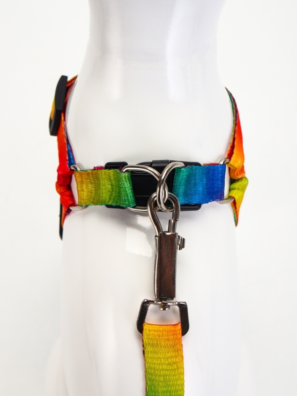 Комплект "Радуга", капрон, поводок 120 х 1,5 см, ОГ 24-34 см, разноцветный