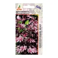 Семена Клещевина &laquo;Кроваво-красная&raquo;, 4 шт., &laquo;Агрос&raquo;