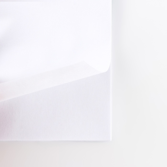 Подарочный набор блокнот и значок &laquo;Корги&raquo;