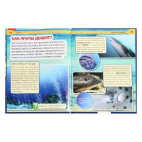 Энциклопедия с развивающими заданиями «Акулы» Энциклопедия с развивающими заданиями «Акулы»