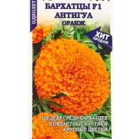Семена Бархатцы Антигуа Оранж F1 /Сотка/ 5 шт/*1800