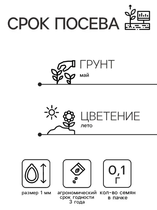 Семена цветов Иберис зонтичный "Ежевичные меренги", 0,1 г