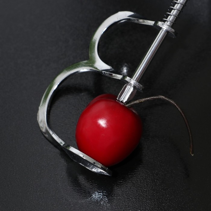 Удалитель косточек Доляна &laquo;Любитель&raquo;, 12,5 см, цвет серебряный