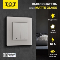 Выключатель TOT Matte Glass, 10 А, 2 кл., с подсветкой, скрытый, стекло, белый Выключатель TOT Matte Glass, 10 А, 2 кл., с подсветкой, скрытый, стекло, белый