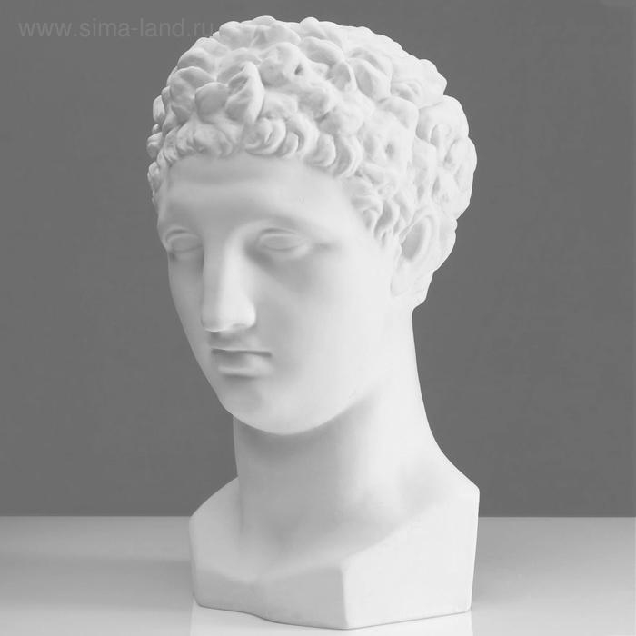 Гипсовая фигура Голова Гермеса, 22 х 27 х 46 см