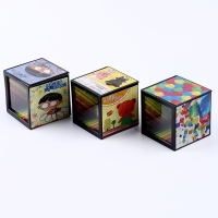 Фокус &laquo;Копилка&raquo;, виды МИКС