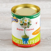 Набор для создания топиария малого &laquo;Ромашки&raquo;