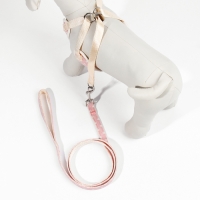 Комплект с мягкой шлейкой "Горох", размер М, поводок 120 х 1,5 см, ОГ 34-66 см, розовый Комплект с мягкой шлейкой "Горох", размер М, поводок 120 х 1,5 см, ОГ 34-66 см, розовый