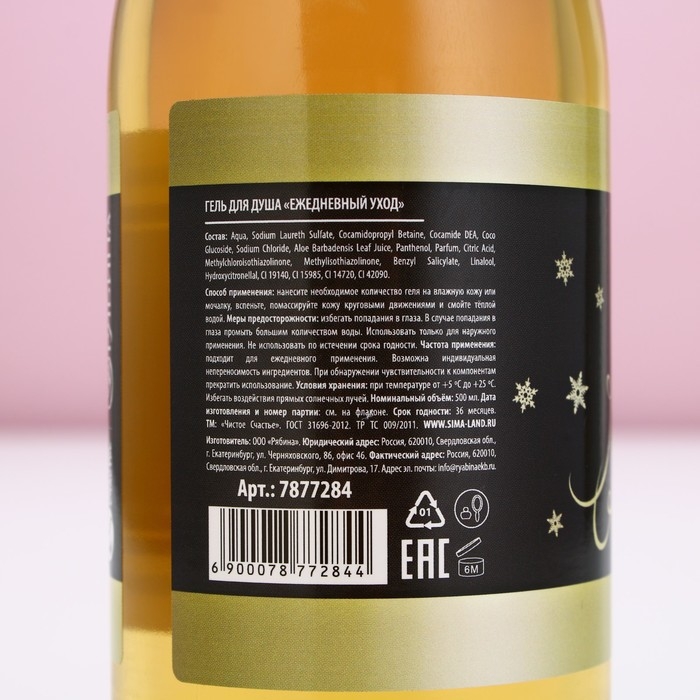 Гель для душа во флаконе шампанское &laquo;Удачи в Новом Году!&raquo;, 500 мл, аромат зимних ягод, ЧИСТОЕ СЧАСТЬЕ