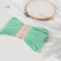 Набор ниток мулине №959, 8 ± 1 м, 6 шт, цвет морская вода Набор ниток мулине №959, 8 ± 1 м, 6 шт, цвет морская вода