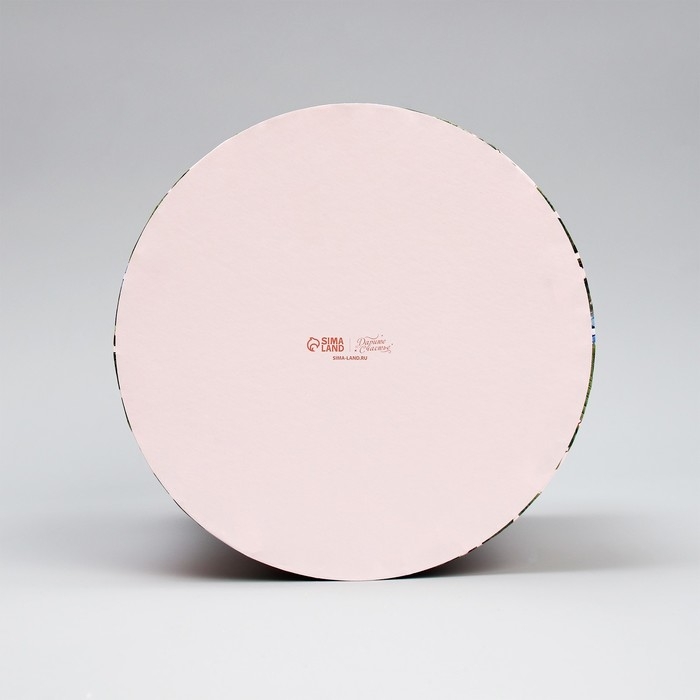 Набор шляпных коробок 3 в 1, упаковка подарочная, «Самой прекрасной», 16 х 16 х 14‒20 х 20 х 17 см Набор шляпных коробок 3 в 1, упаковка подарочная, «Самой прекрасной», 16 х 16 х 14‒20 х 20 х 17 см