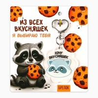 Брелок для ключей акриловый «Енот», 5 х 4,9 см Брелок для ключей акриловый «Енот», 5 х 4,9 см