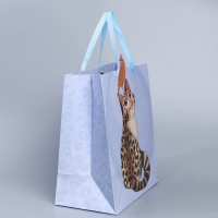 Пакет подарочный, упаковка, «Кот», 30 х 30 х 15 см Пакет подарочный, упаковка, «Кот», 30 х 30 х 15 см