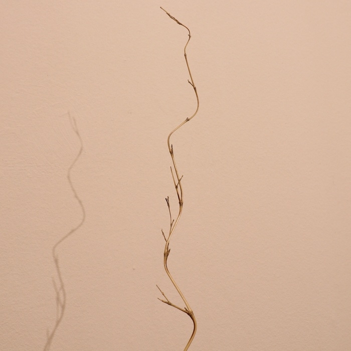 Интерьерный декор из бамбука, 200 см светлый Интерьерный декор из бамбука, 200 см светлый